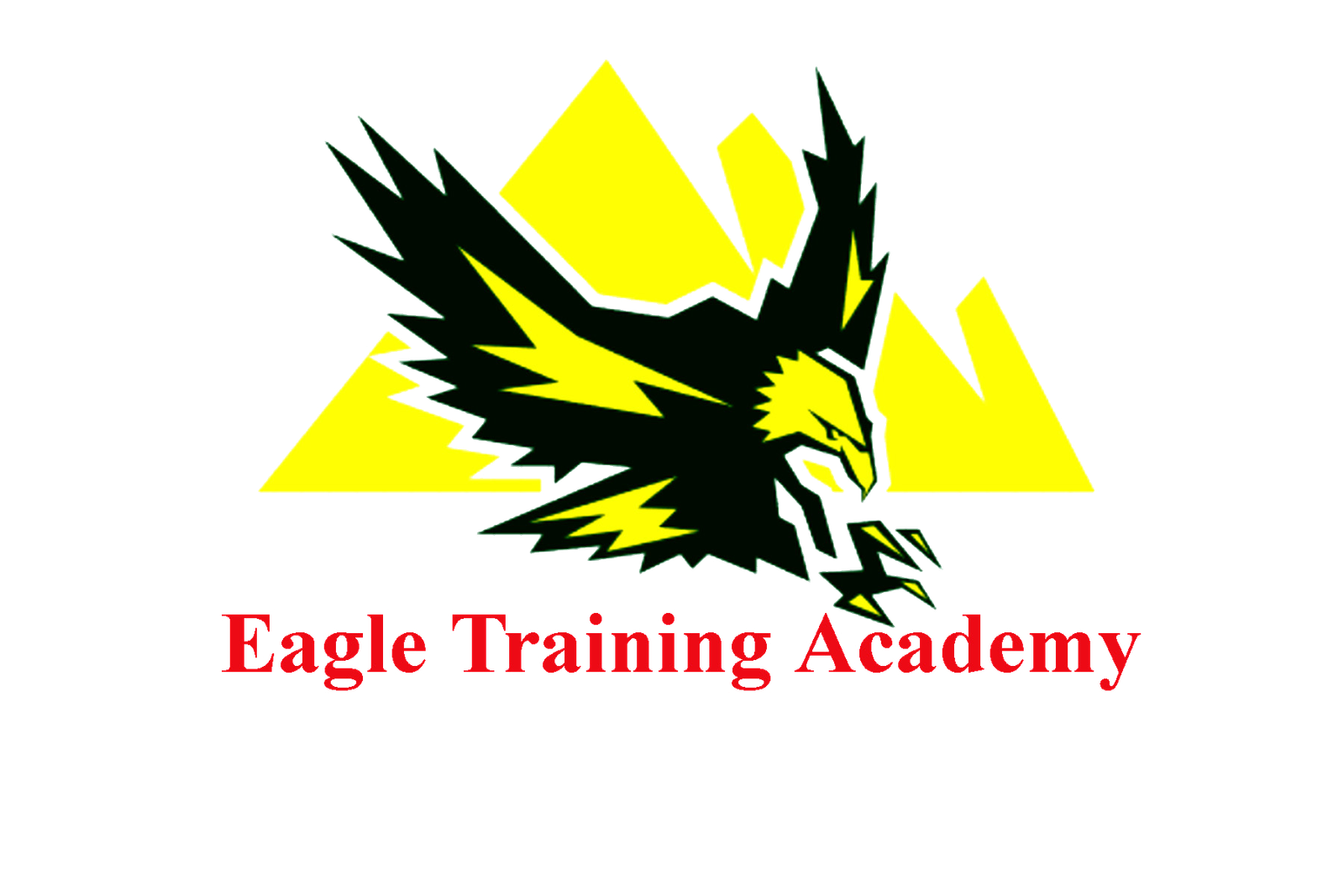 Eagle Training Academy